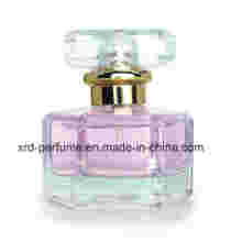 Wholesale Women Perfume Price Sexy Lady Perfume